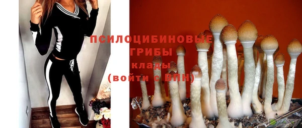 экстази Баксан